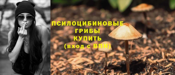 ПСИЛОЦИБИНОВЫЕ ГРИБЫ Алзамай