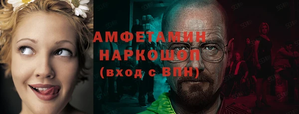 ПСИЛОЦИБИНОВЫЕ ГРИБЫ Алзамай