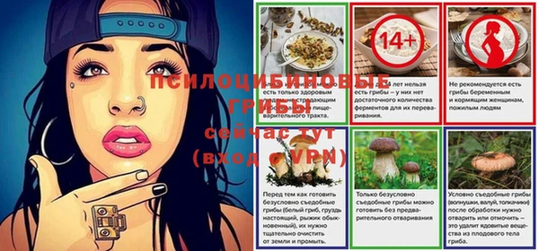 ПСИЛОЦИБИНОВЫЕ ГРИБЫ Алзамай
