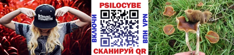 Псилоцибиновые грибы MAGIC MUSHROOMS  Спасск-Рязанский 